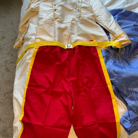 Prince Charming Disney costume - Picture 5 of 6